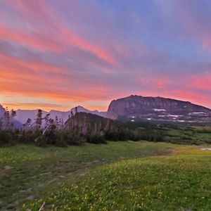 Meet your Posher, Benji